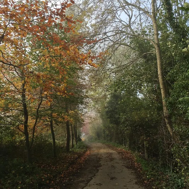 Pathways, Beachwood Cottage Bath 0*,  United Kingdom