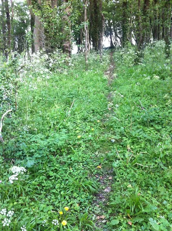 Pathways, Beachwood Cottage Bath United Kingdom
